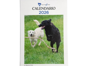 CALENDARIO 2026