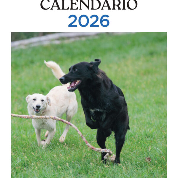 CALENDARIO 2026 "ASPETTANDO TE" - Da tavolo