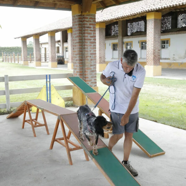 Regala una lezione di mobility - (donazione)